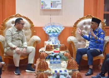 Potensi Besar KEK Palu, Wamen Investasi Soroti Hilirisasi dan Dampak Ekonomi Lokal