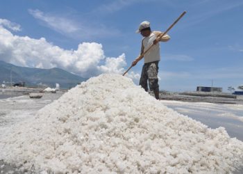 Pemerintah Buka Kembali Keran Impor Garam Industri