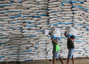 Realisasi Penyaluran Pupuk Subsidi Mencapai 2,8 Juta Ton