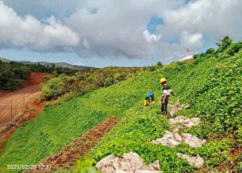Apakah Tambang PT GAG Nikel Merusak atau Menjaga Kelestarian Alam?