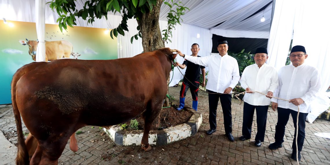 BSI Distribusikan 15.272 Hewan Kurban untuk Dhuafa