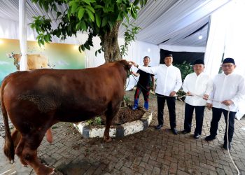 BSI Distribusikan 15.272 Hewan Kurban untuk Dhuafa