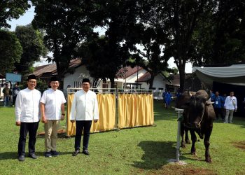 Perkuat Ketakwaan Dan Solidaritas Sosial Lewat Program Kurban di Iduladha 1446 H