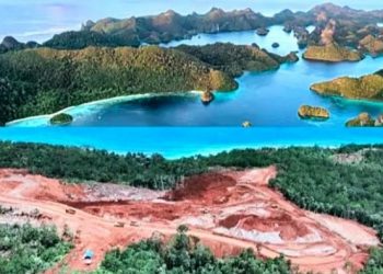 Polemik Tambang di Raja Ampat, Ini Profil 4 Perusahaan yang Dicabut Izin Usaha Pertambangannya oleh Prabowo