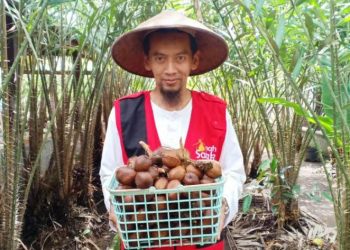 Omah Salak: Ketika Salak dan Olahannya Menjadi Tiket ke Pasar Dunia