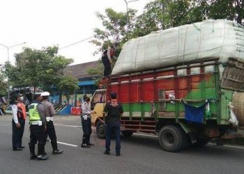 Kemenhub Bergerak Cepat! Sistem Elektronik Baru Siap Berantas Pungli dan Tangani ODOL