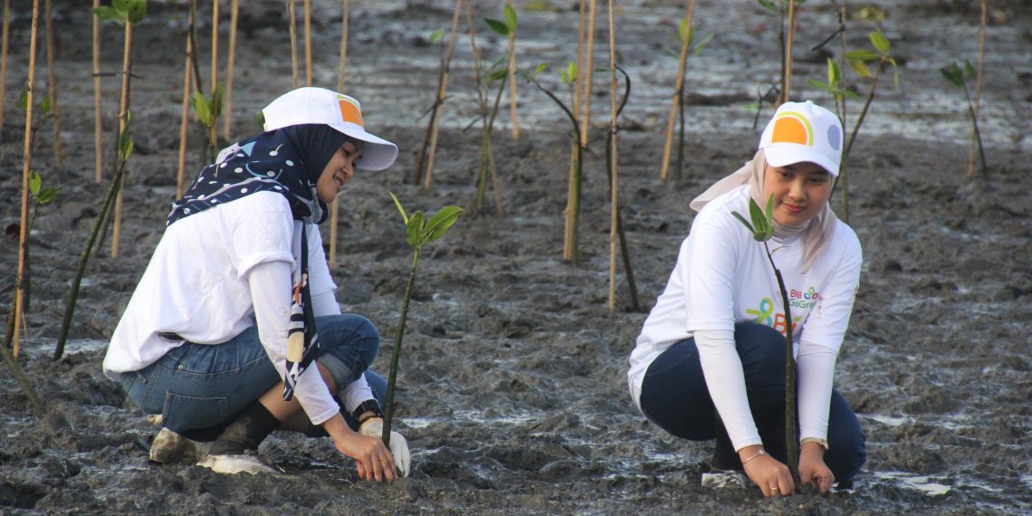 Dari Ekosistem ke Ekonomi, BNI Bangun Masa Depan Lewat Hutan Mangrove
