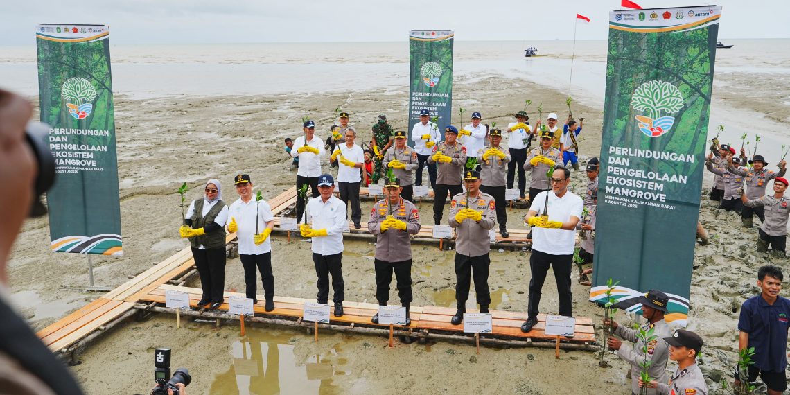 Tanam Mangrove di Kalbar, Kapolri: Jaga Lingkungan untuk Masa Depan Anak-Cucu Kita