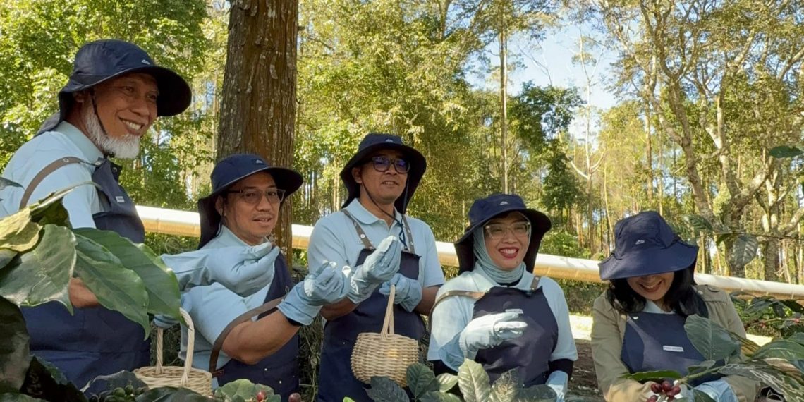 Kopi Kamojang Tembus Pasar Internasional Berkat Inovasi Geothermal Dry House