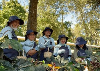 Kopi Kamojang Tembus Pasar Internasional Berkat Inovasi Geothermal Dry House