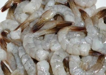 Produk Udang Beku Asal RI Diduga Terkontaminasi Radioaktif, Ini Kata Menteri KP Trenggono