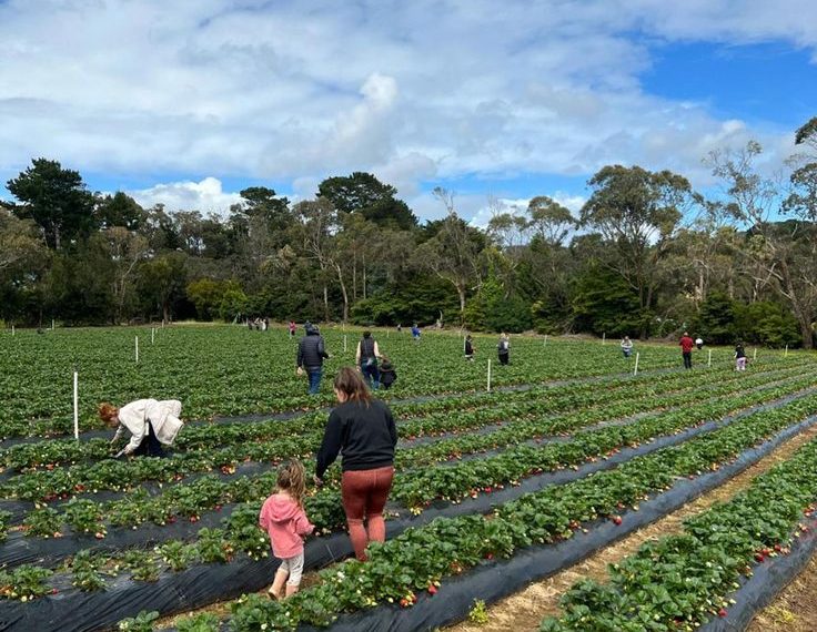 Serikat Petani Prancis FNSEA Menyerukan Aksi Protes Sehari Penuh