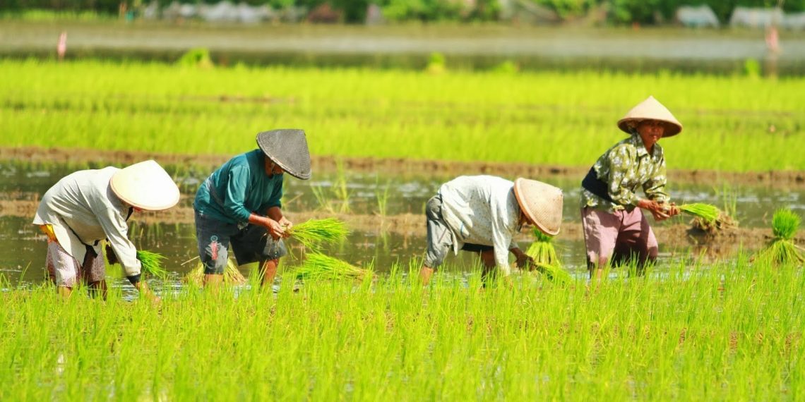 Digitalisasi Perbankan Dorong Inklusi Keuangan Masyarakat Desa