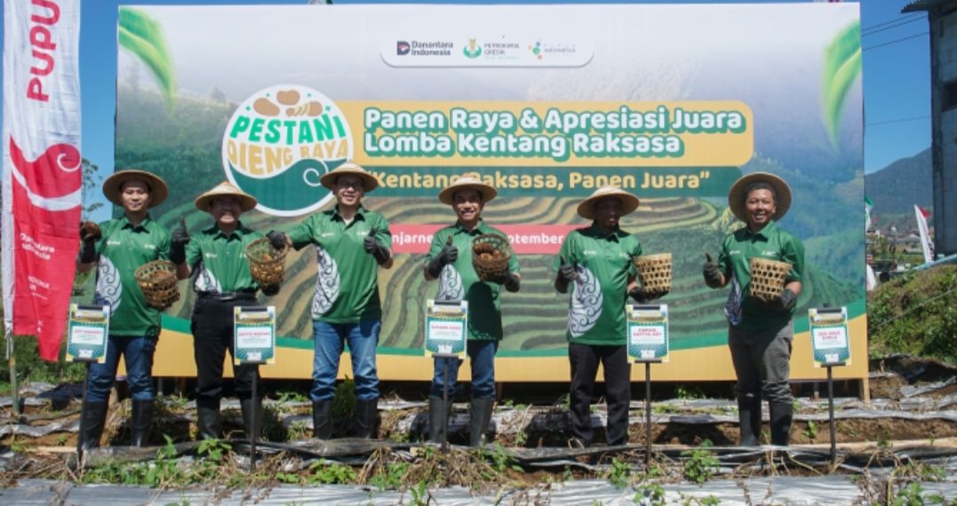 Dorong Peningkatan Produktivitas & Swasembada Pangan, Petrokimia Gresik Gelar Lomba Kentang Raksasa Di Dieng Raya