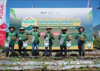 Dorong Peningkatan Produktivitas & Swasembada Pangan, Petrokimia Gresik Gelar Lomba Kentang Raksasa Di Dieng Raya