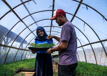 Jamkrindo Perkuat Ketahanan Pangan dengan Penjaminan Sektor Pertanian Rp 35,78 Triliun