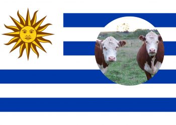 Di Uruguay, Lebih Banyak Sapi Dibanding Manusia