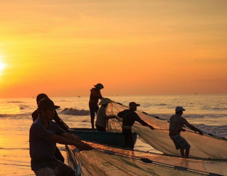 WTO Resmikan Kesepakatan Pengurangan Subsidi Penangkapan Ikan Berlebih