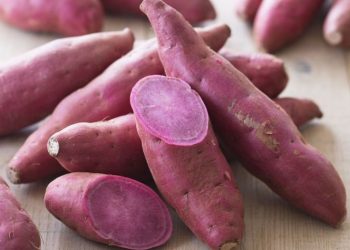 Makanan Ini Ungkap Rahasia Supaya Kulit Sehat dan Glowing