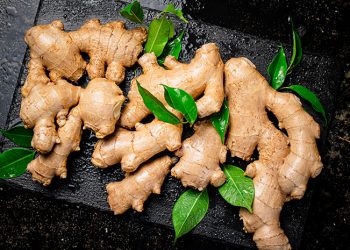 Rahasia Jahe: Dari Minuman Hangat hingga Penjaga Imun Tubuh