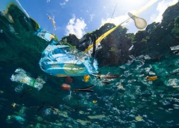 Sampah Plastik Ancam Ekosistem Laut dan Ekonomi Global